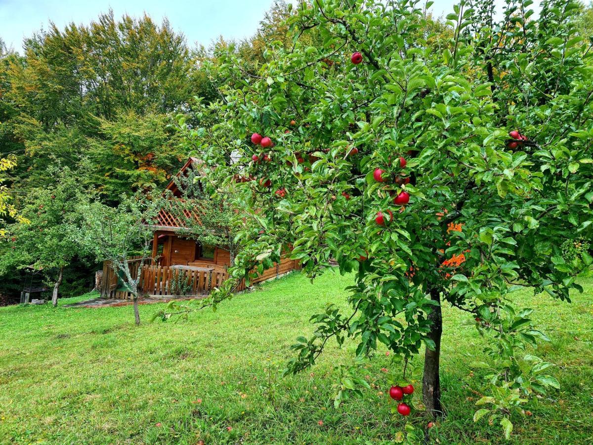 Трембіта Rachiw Exterior foto